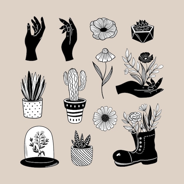 Vector conjunto de jardinería de dibujos animados dibujados a mano vectorial plantas en macetas negras flores suculentas y manos mágicas