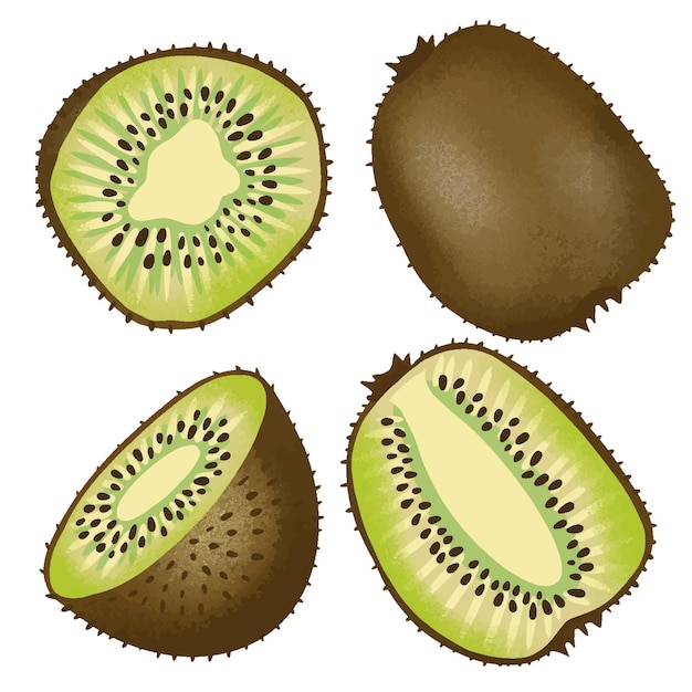 Conjunto de kiwi entero y cortado realista aislado sobre fondo blanco