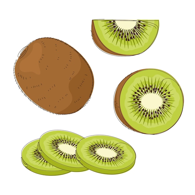 Conjunto de kiwi en rodajas dibujado a mano en diseño plano