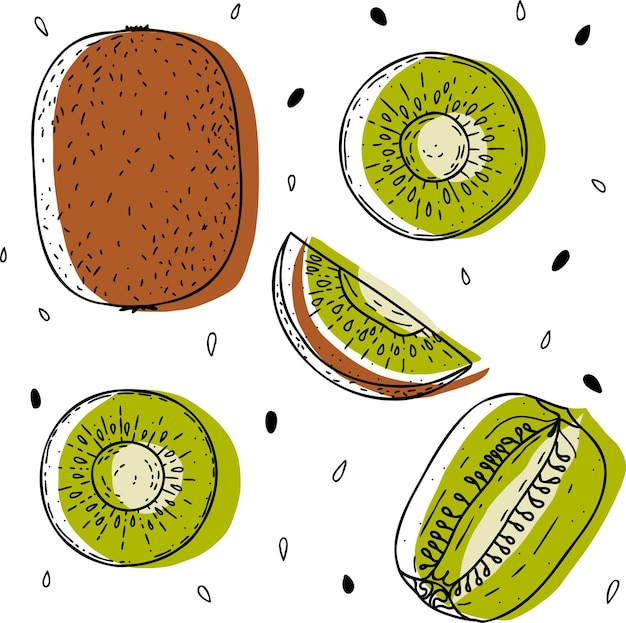 Vector conjunto de kiwi vectorial rebanada de kiwi medio entera y hojas cítricos dibujados a mano abstractos verdes y marrones