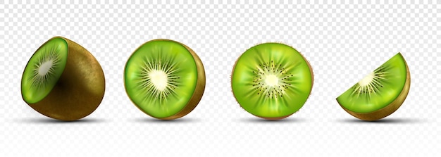 Vector conjunto, de, kiwi