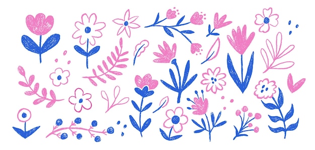 Conjunto de lápices de lápiz de flor para niños Elementos florales dibujados abstractos Planta botánica de tiza para niños Colores azul y rosa