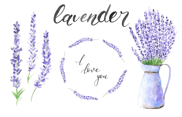 Conjunto de lavanda acuarela