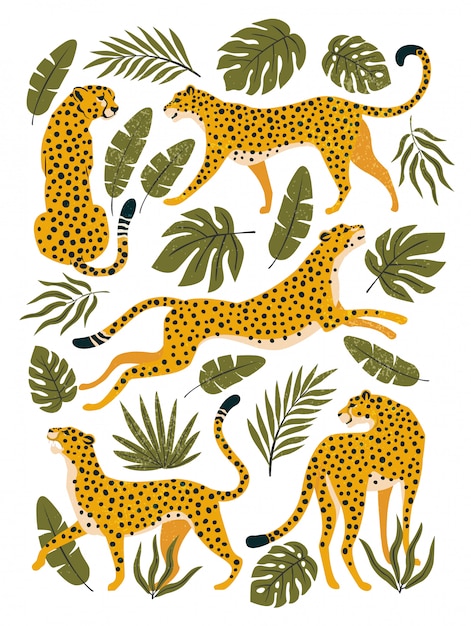 Vector conjunto de leopardos o guepardos y hojas tropicales. ilustración de moda