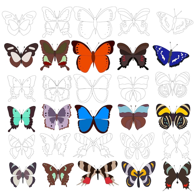 Conjunto de libro para colorear de mariposa de contorno