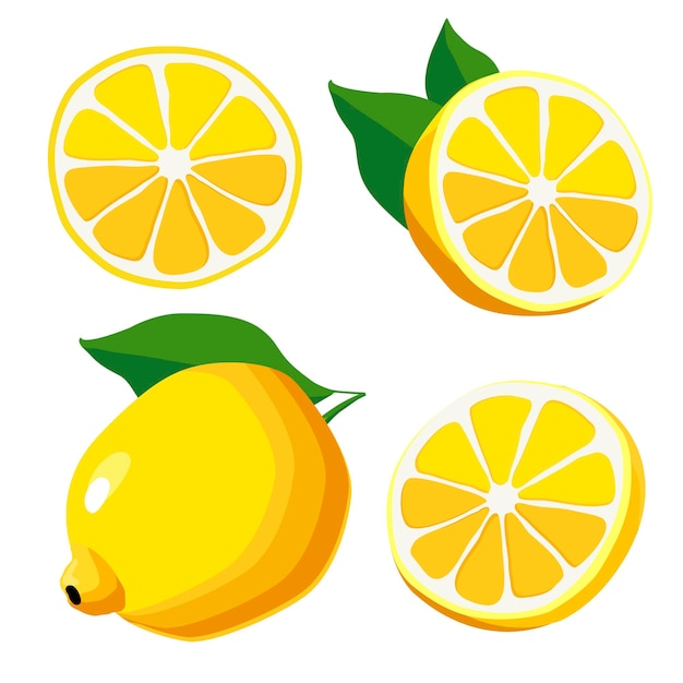 Conjunto de limón amarillo y rebanada frutas cortadas por vector aislado en estilo plano Clipart de verano para el diseño