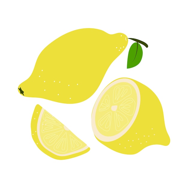 Conjunto de limones limones enteros y gajos de limón ilustración vectorial fondo aislado