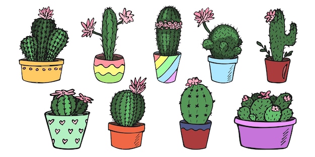 Conjunto de linda ilustración de cactus dibujada a mano Planta de interior en una olla clipart Cozy home doodle