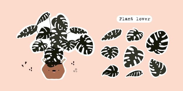 Conjunto de linda planta tropical monstera en maceta hojas de monstera