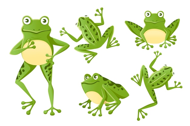 Conjunto de linda rana verde sonriente sentada en la ilustración de vector plano de diseño animal de dibujos animados de tierra aislado sobre fondo blanco.