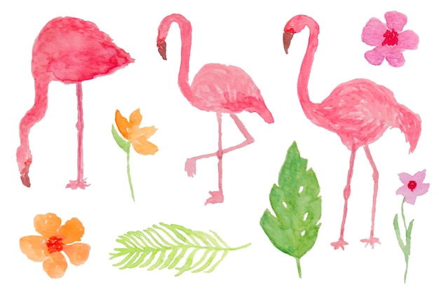 Vector un conjunto de lindas acuarelas de flamencos rosados y plantas tropicales