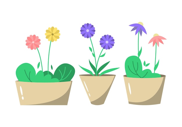 Conjunto de lindas flores planas en maceta ilustración de decoración del hogar