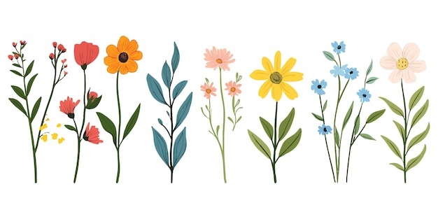 Un conjunto de lindas flores silvestres una ilustración vectorial plana simple sobre un fondo blanco