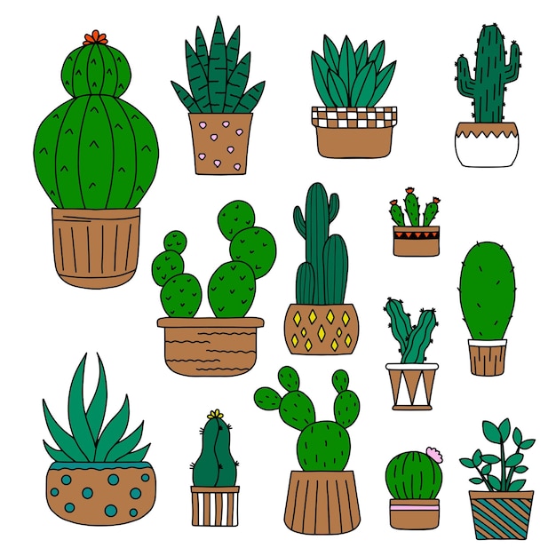 Conjunto de lindas suculentas cactus kawaii estilo doodle ilustración vectorial