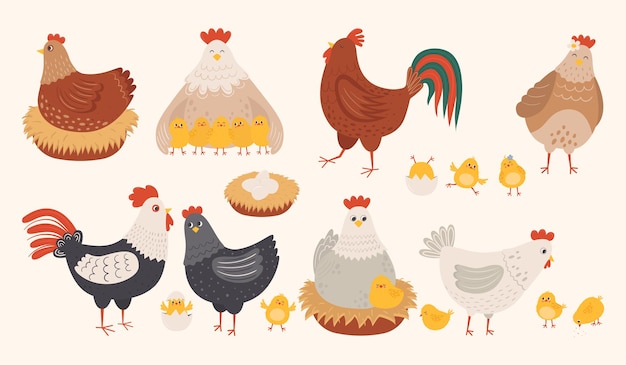 Vector conjunto de lindo gallo gallina y polluelos en estilo plano familia divertida de personajes de pollo