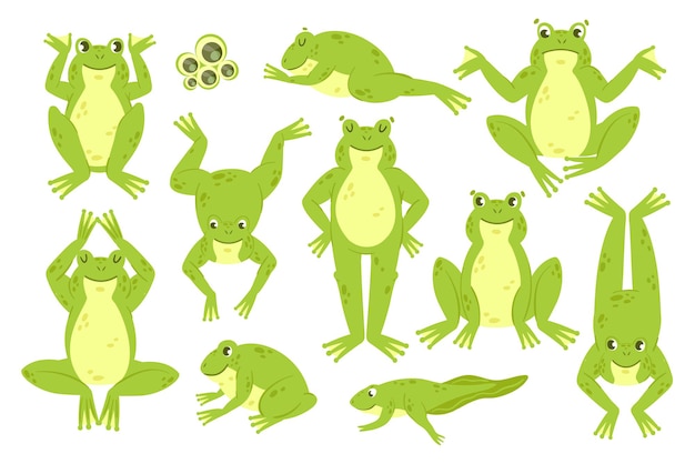 Vector conjunto lindo de rana divertidos personajes de rana verde feliz croak jump hop leap sleep colección