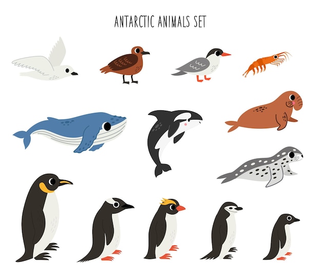 Vector conjunto de lindos animales antárticos en estilo de dibujos animados sobre un fondo blanco
