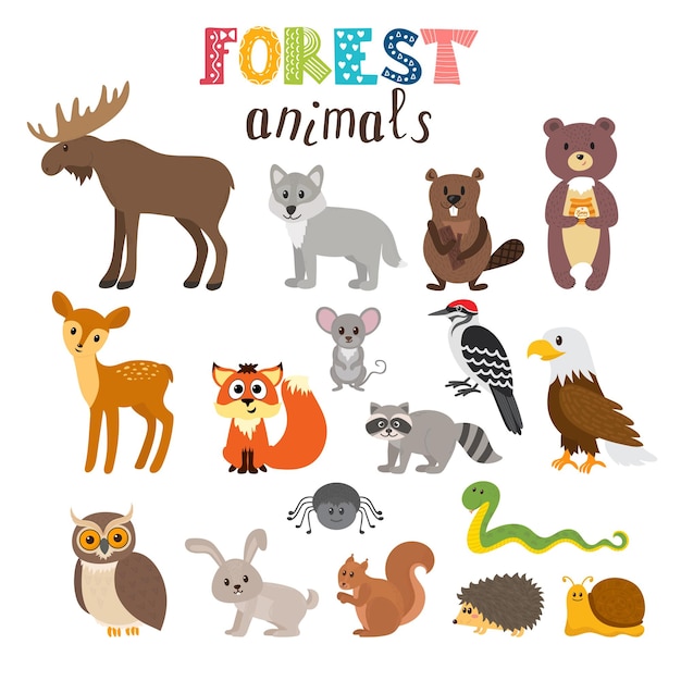 Conjunto de lindos animales del bosque en el estilo de dibujos animados de Woodland