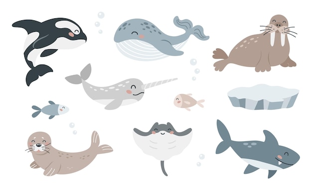 Vector conjunto de lindos animales marinos árticos en estilo de dibujos animados planos mamíferos marinos polares salvajes y peces