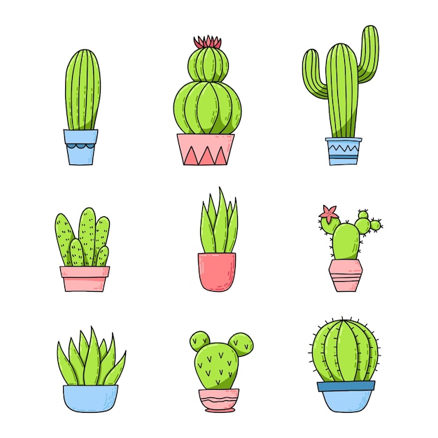 Conjunto de lindos cactus coloridos o plantas suculentas en macetas