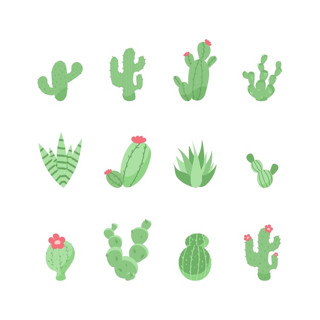 Conjunto de lindos cactus y suculentas ilustración vectorial en estilo plano