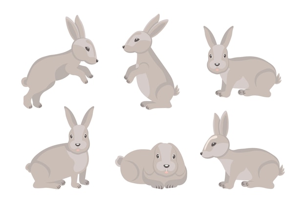 Conjunto de lindos conejos grises liebres Ilustración de dibujos animados Elementos de diseño de Pascua vector