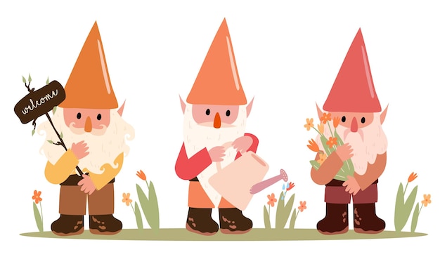 Conjunto de lindos gnomos