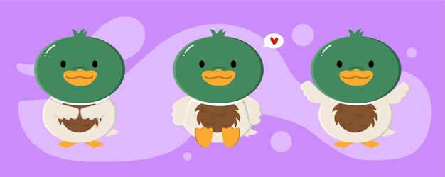 Vector conjunto de lindos patos mallardos machos