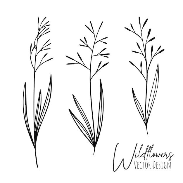 Conjunto de line art de flores silvestres e ilustración de hierba