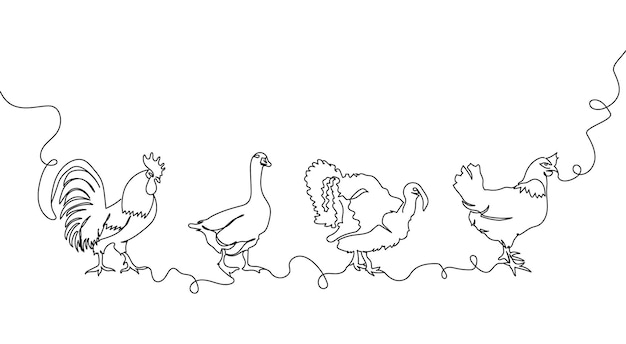 Conjunto de una línea de animales domésticos. Dibujo de línea continua de pollo, gallo, ganso, pavo.