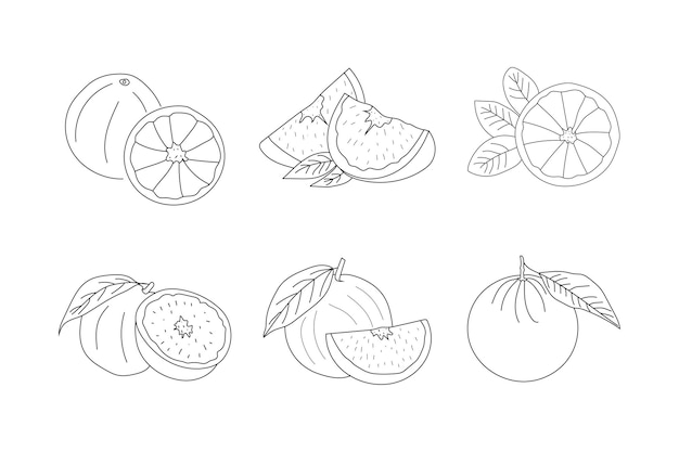 Conjunto de la línea naranja dibujada sobre un fondo blanco, lleno y medio naranja, fruta de boceto a mano.