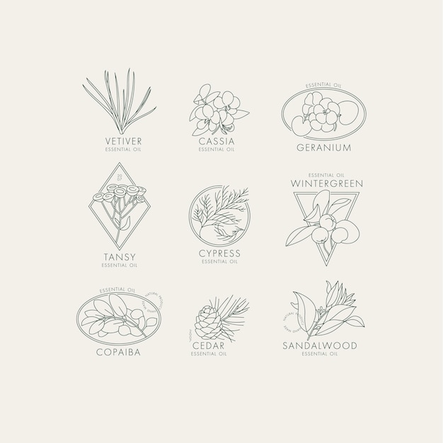 Conjunto lineal vectorial de iconos y emblemas botánicos logotipos de diseño con tipografía para aceites esenciales