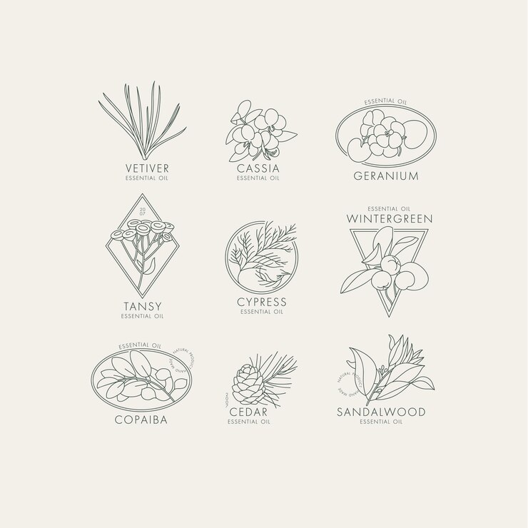 Conjunto lineal vectorial de iconos y emblemas botánicos Logotipos de diseño con tipografía para aceites esenciales
