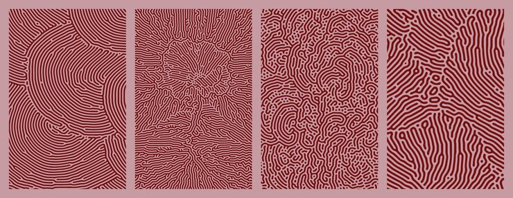 Vector conjunto de líneas abstractas de turing orgánicas patrón diseño de colección de paquetes de fondo