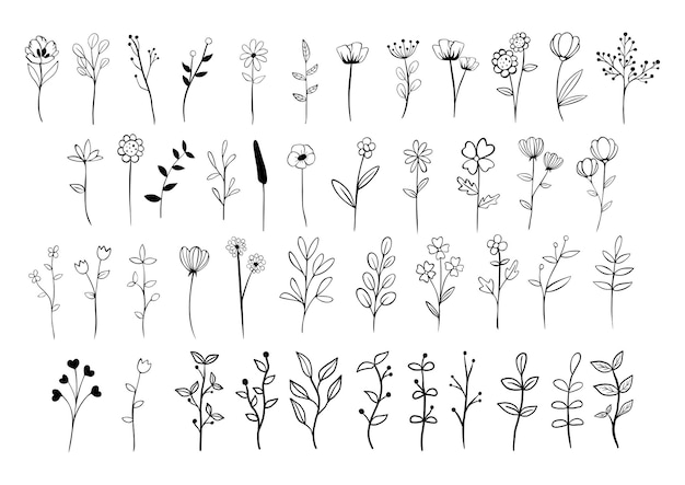 Conjunto de líneas negras garabateando hojas de tallo largo, flores y polen sobre fondo blanco Ilustración vectorial