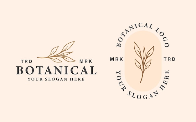 conjunto de logo botánico