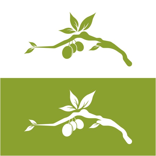 conjunto de logotipo de aceite de oliva con una combinación de hojas y frutas