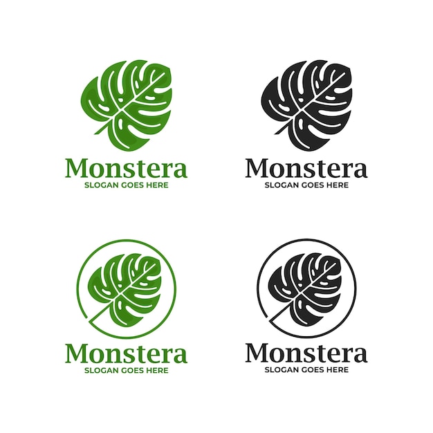 Conjunto de logotipo de monstera