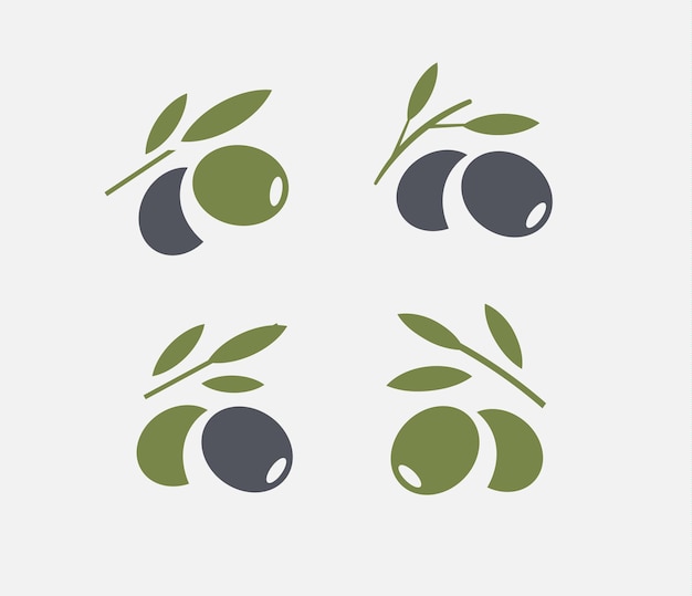 Conjunto de logotipo de oliva. Rama de olivo verde y madura negra con hojas. Emblemas de comida gourmet. Diseño de logotipo simple