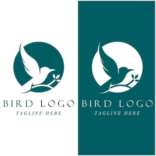 Conjunto de logotipo de pájaro creativo con plantilla de eslogan