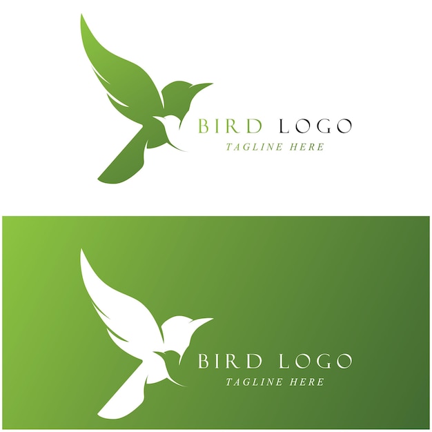 Conjunto de logotipo de pájaro creativo con plantilla de eslogan