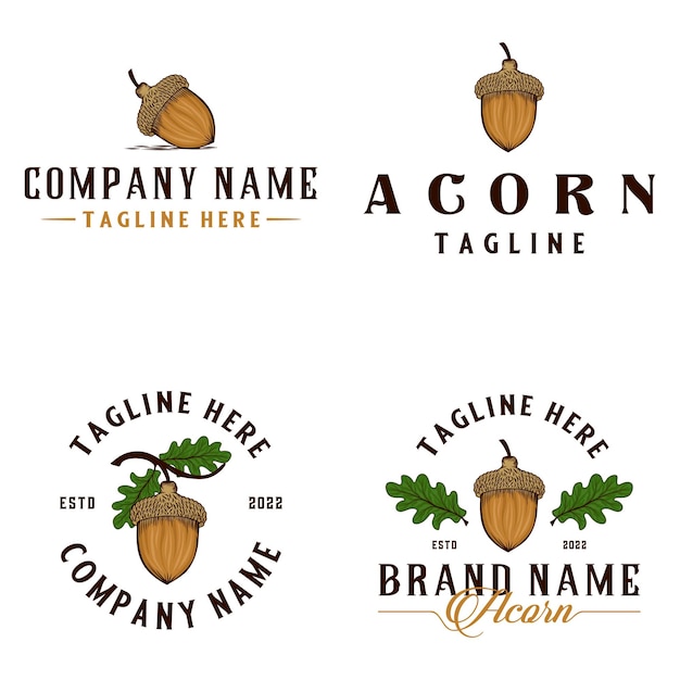conjunto de logotipo vectorial de bellota concepto de bellota con hojas para negocios históricos de construcción de viviendas y más