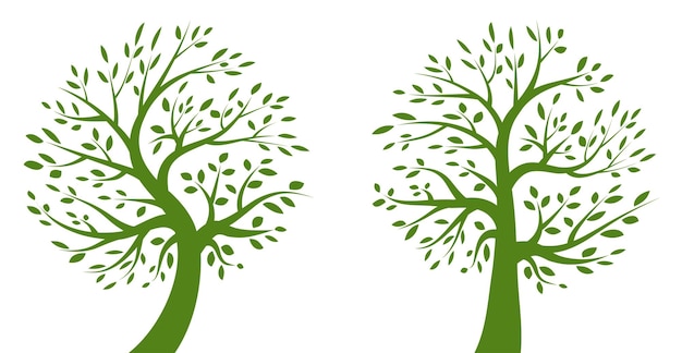 Conjunto de logotipo verde de árbol Colección de emblema orgánico ecológico Icono de planta de roble Silueta vectorial de un árbol