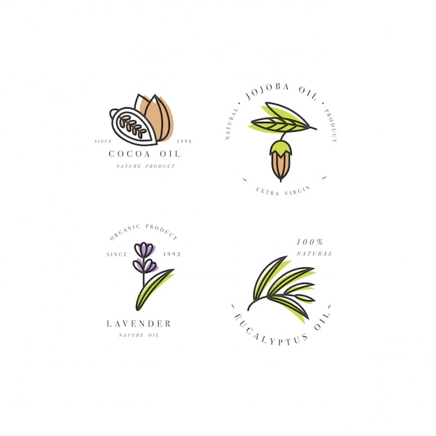 conjunto de logotipos de aceites de belleza y cosmética