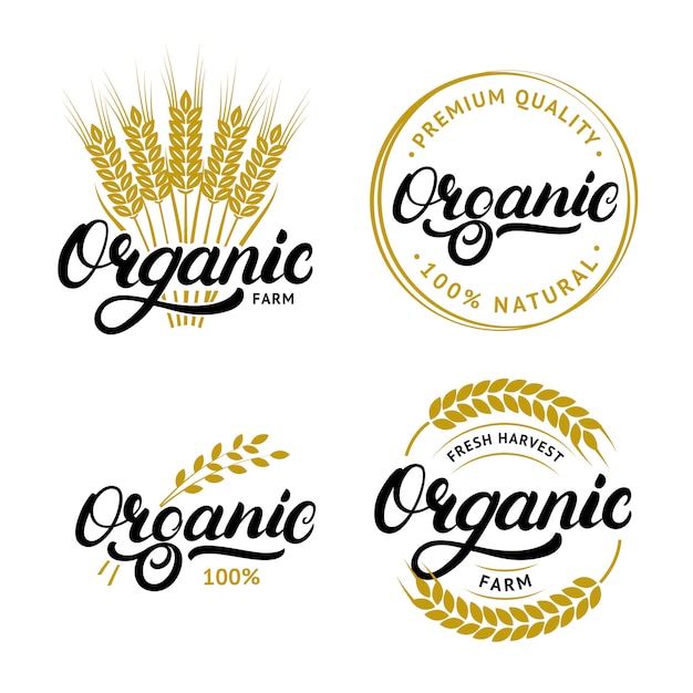 Conjunto de logotipos, etiquetas, insignias o emblemas de letras orgánicas escritas a mano para productos frescos naturales.