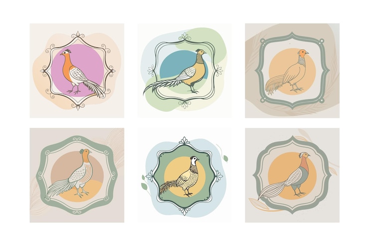 Vector conjunto de logotipos de faisanes dorados etiquetados con manchas de color ilustración de diseño
