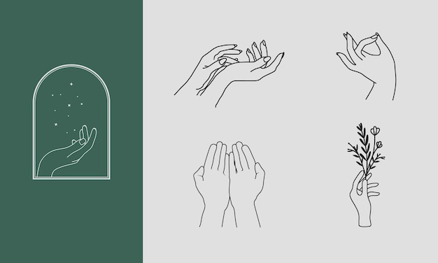 Vector un conjunto de logotipos de manos femeninas en un estilo lineal mínimo plantillas de diseño de logotipos vectoriales