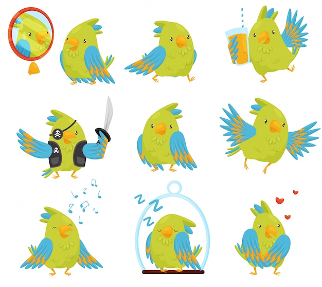 Conjunto de loro en diferentes situaciones. Lindo pájaro con plumas verdes y azules brillantes. Personaje de dibujos animados divertido