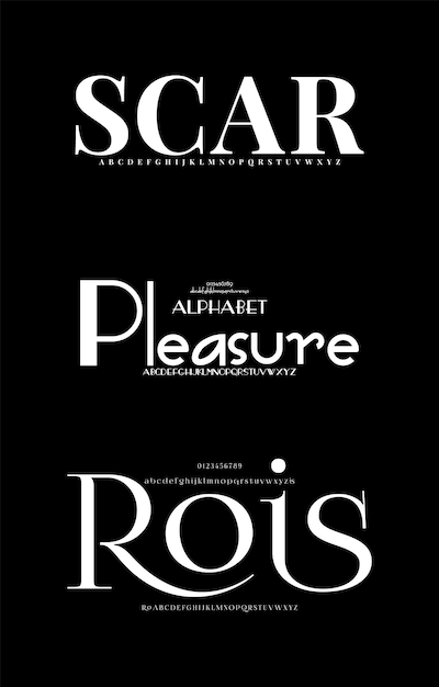 Conjunto de lujo Creative Vector Serif Display Alfabeto fuentes paquete de diseño Ilustración vectorial
