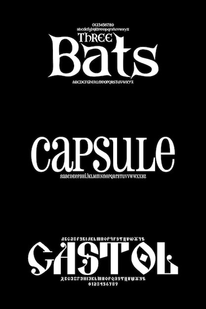 Conjunto de lujo Creative Vector Serif Display Alfabeto fuentes paquete de diseño Ilustración vectorial